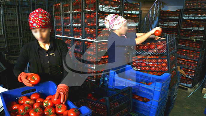 Paketleme