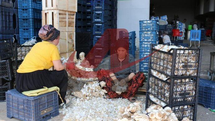 Paketleme